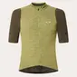 Oakley Off Grid Gravel Fietsshirt Korte Mouwen Groen Heren