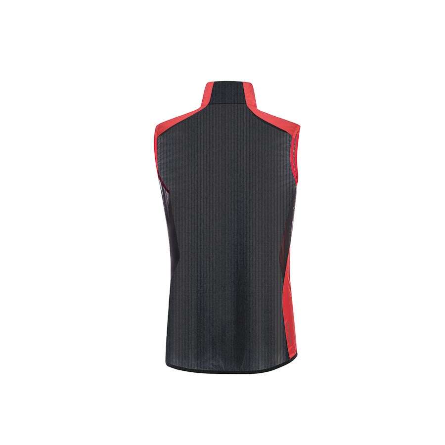 GORE Wear Ambient Windvest Roze/Zwart Dames