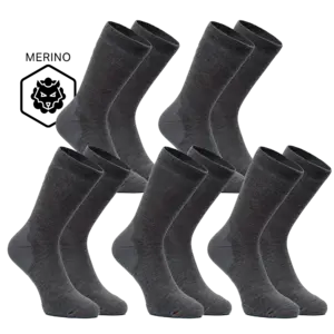 FUTURUM 4 SEASONS III Merino 5-Pack Fietssokken Grijs