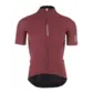 Q36.5 Pinstripe PRO Fietsshirt Korte Mouwen Rood/Zilver Heren