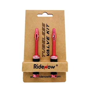 RideNow Tubeless Valve Kit